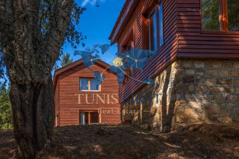 CHALETS A L'EAU THERMALE — Beni Mtir