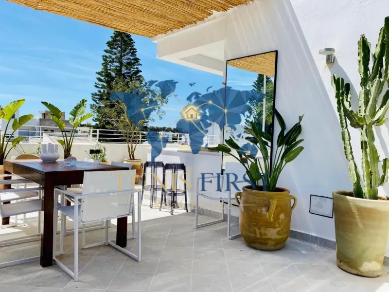 A louer un Duplex S+3 avec terrasse à la Marsa