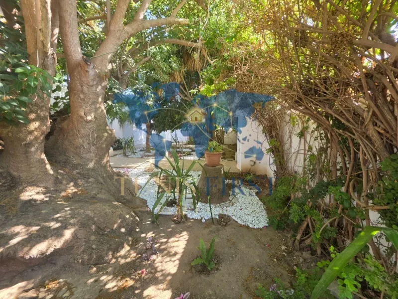 A louer villa d'exception avec jardin et piscine à Carthage — Carthage