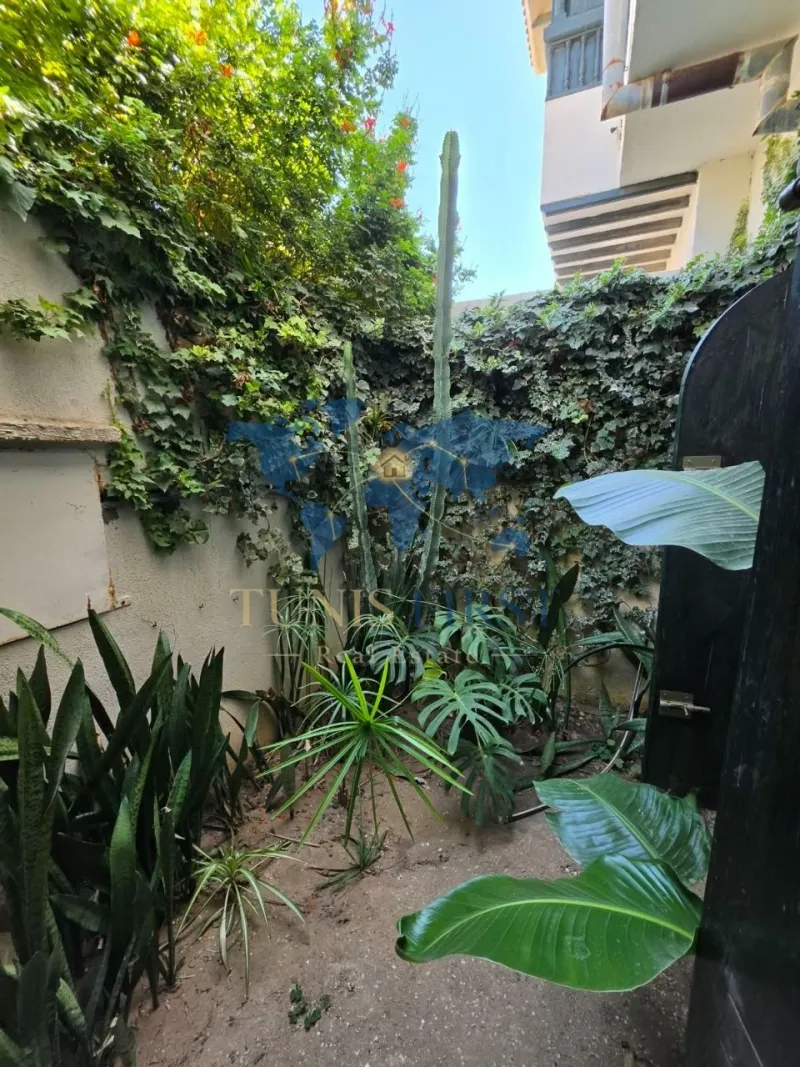 A Louer Luxueuse Villa Meublé à Carthage — Carthage