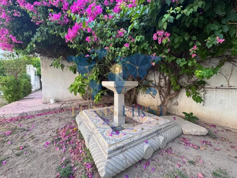 A Louer Grandiose Villa avec piscine à Carthage Salambo — Carthage